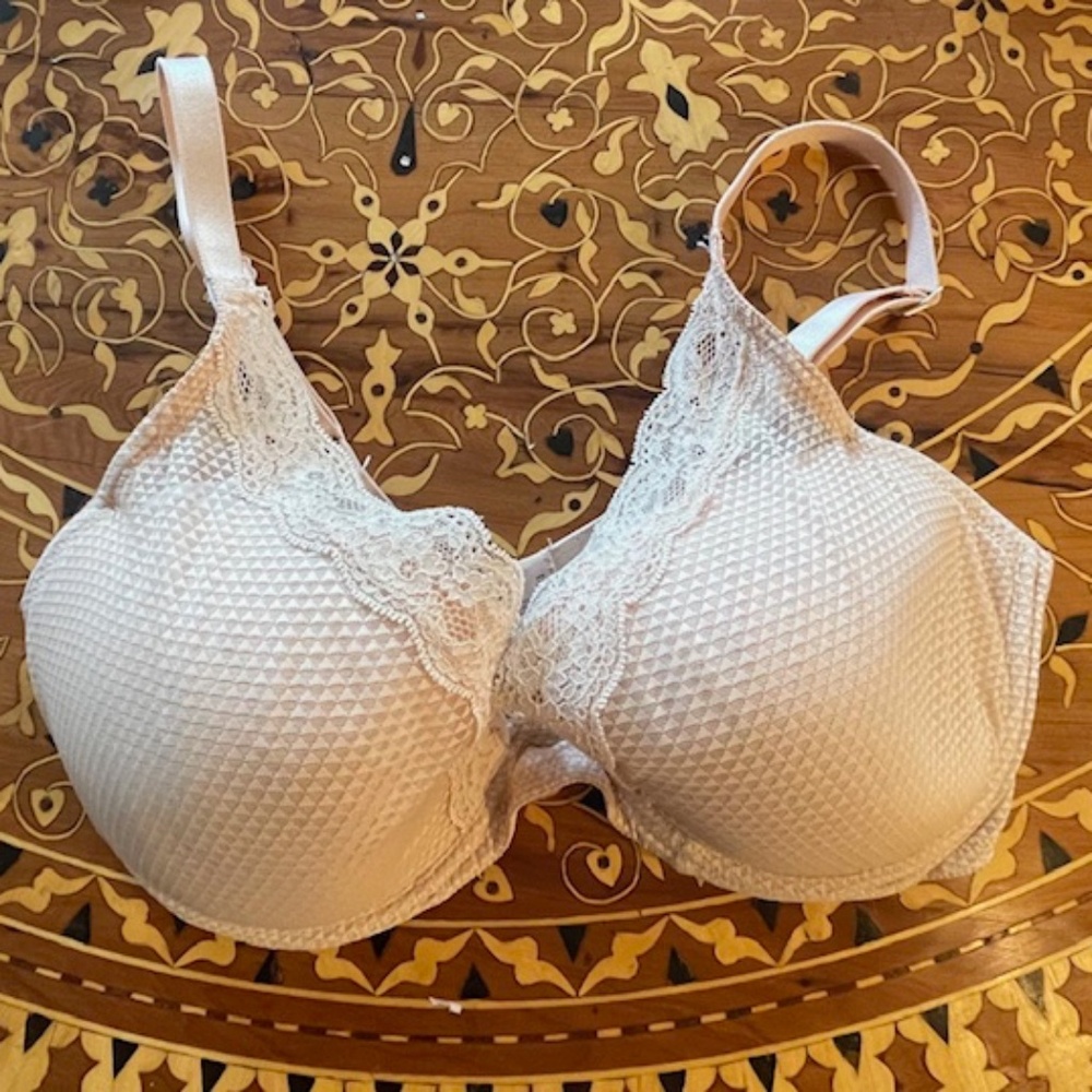 Passionista Style 5701 Deeeep Plunge Blush Bra! 36DD